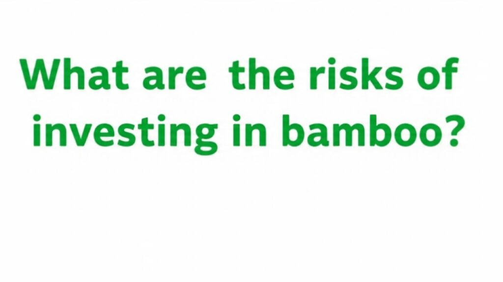 What are the risks of investing in bamboo App?