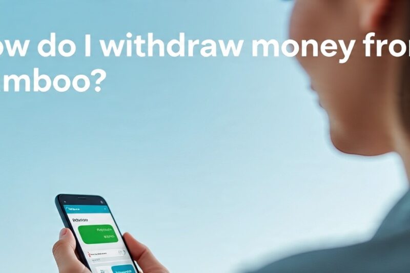2 Direct Ways on How do I Withdraw Money From Bamboo?
