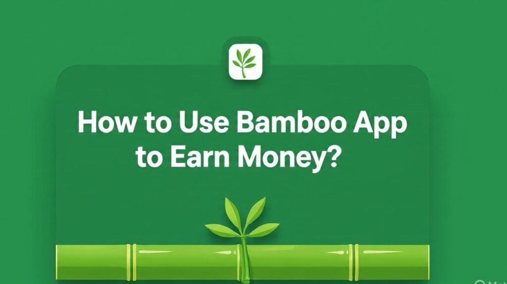 How to Use Bamboo App to Earn Money?