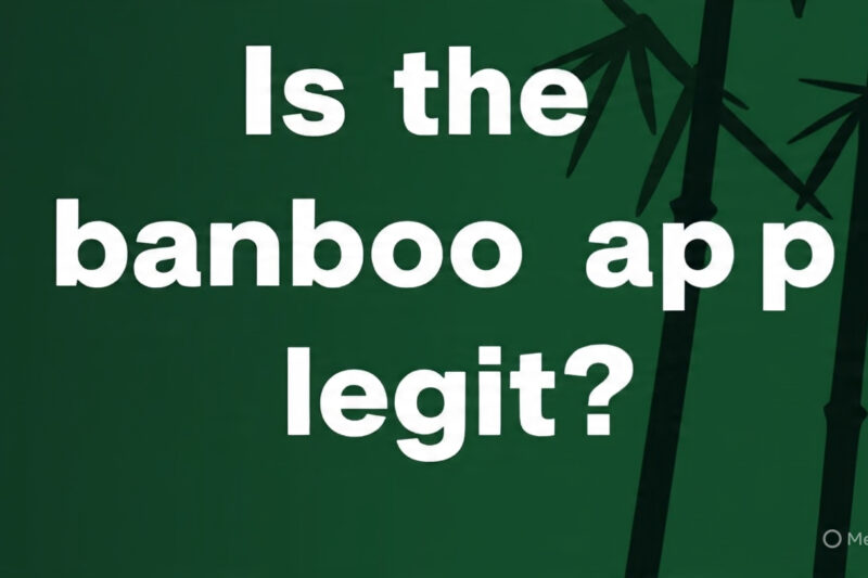 Is The Bamboo App Legit?