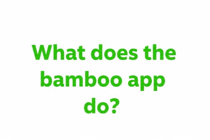 What does the bamboo app do? Your Simple Guide to Investing