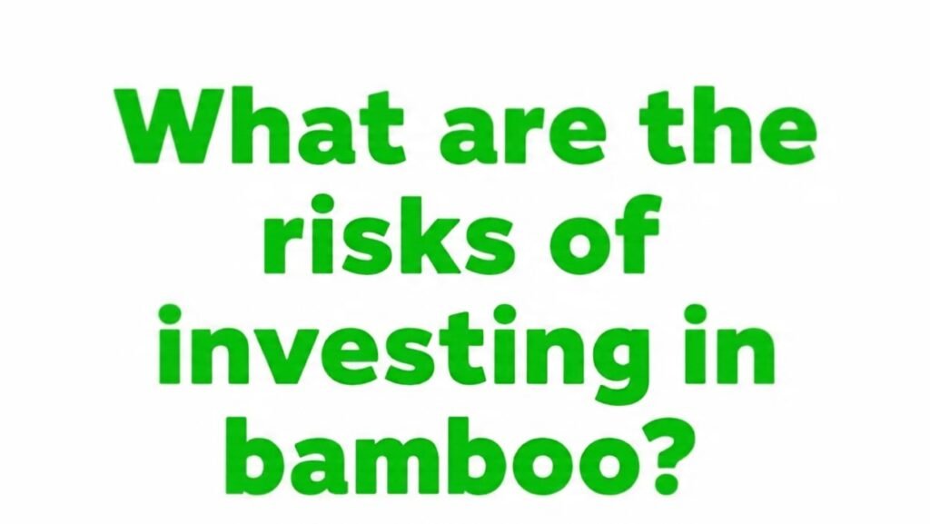 What are the risks of investing in bamboo App?