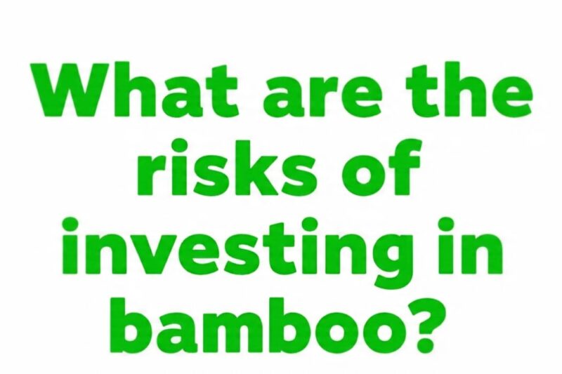 What are the risks of investing in bamboo App?